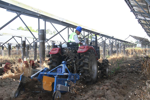 c0d04add30b7fa2504f1036e3e5acbf4.png 揭陽農(nóng)墾舉辦魔芋產(chǎn)業(yè)推進(jìn)會(huì)4.png